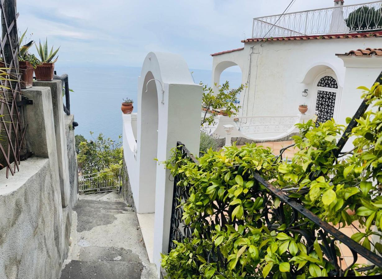 La Limonaia e La Praia Praiano Esterno foto