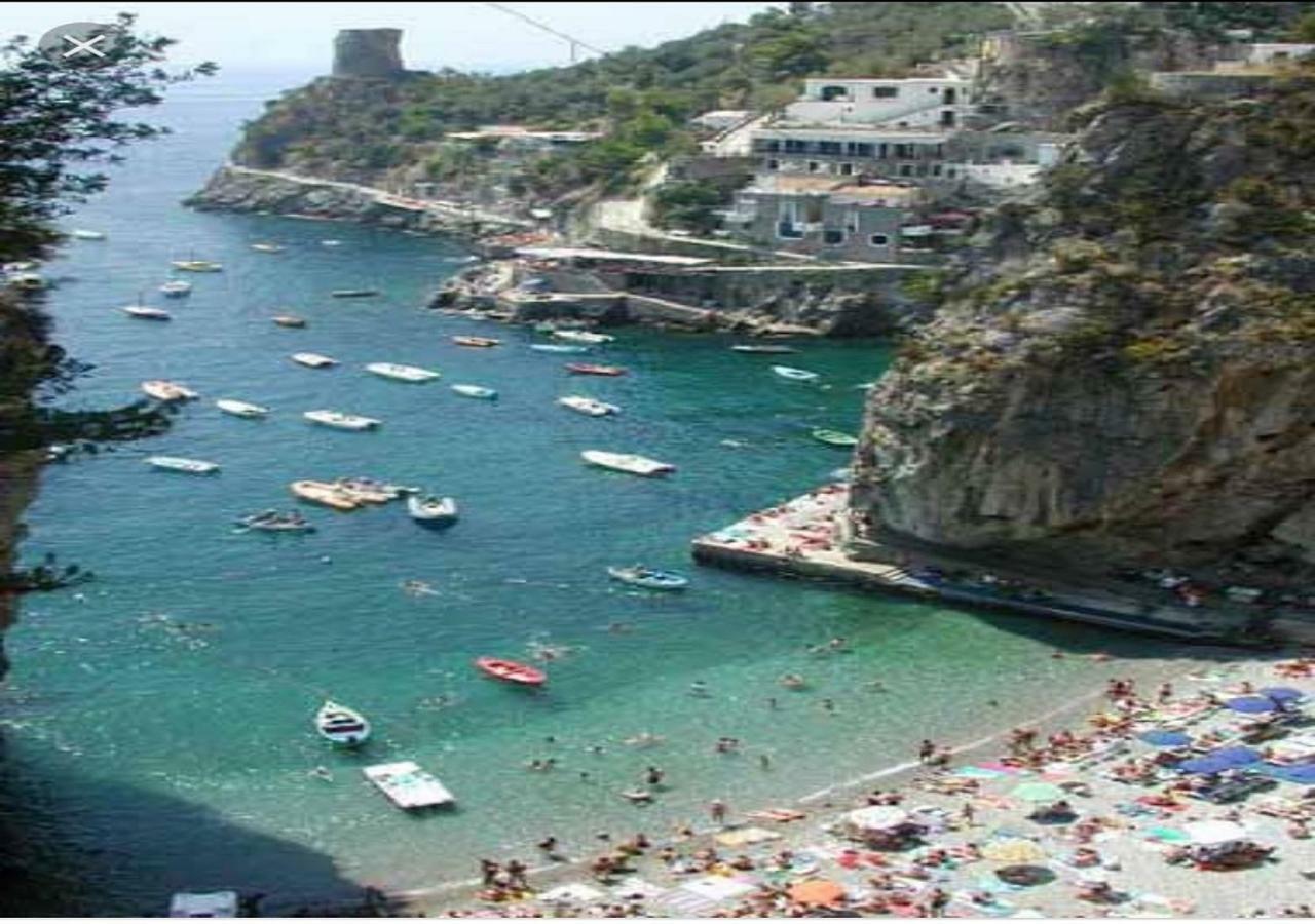 La Limonaia e La Praia Praiano Esterno foto