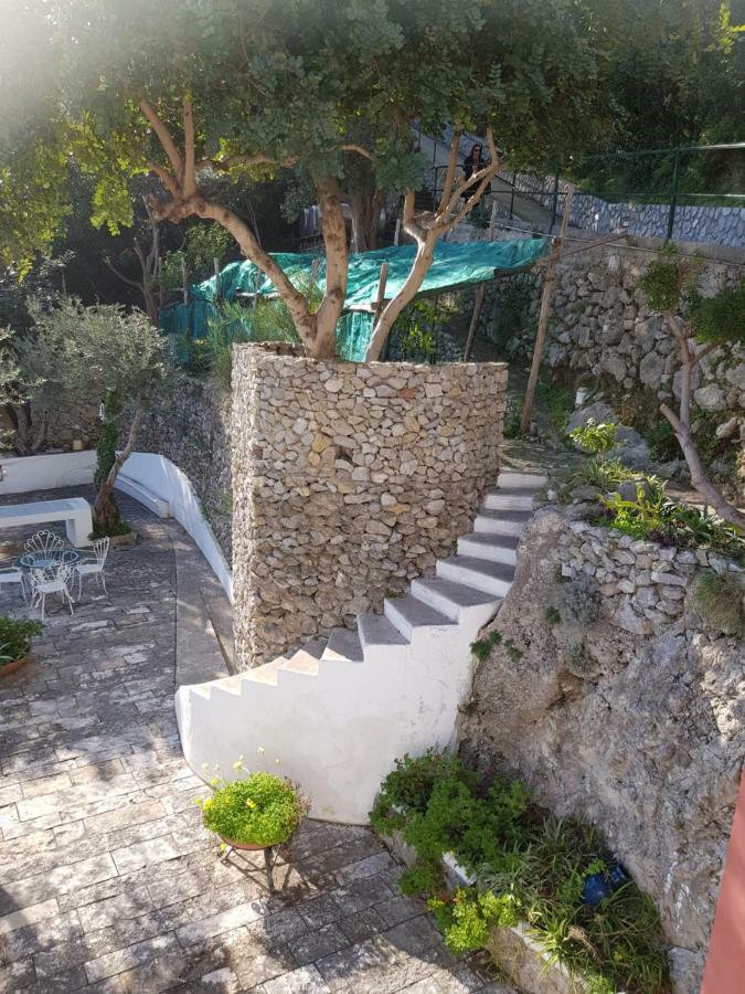 La Limonaia e La Praia Praiano Esterno foto